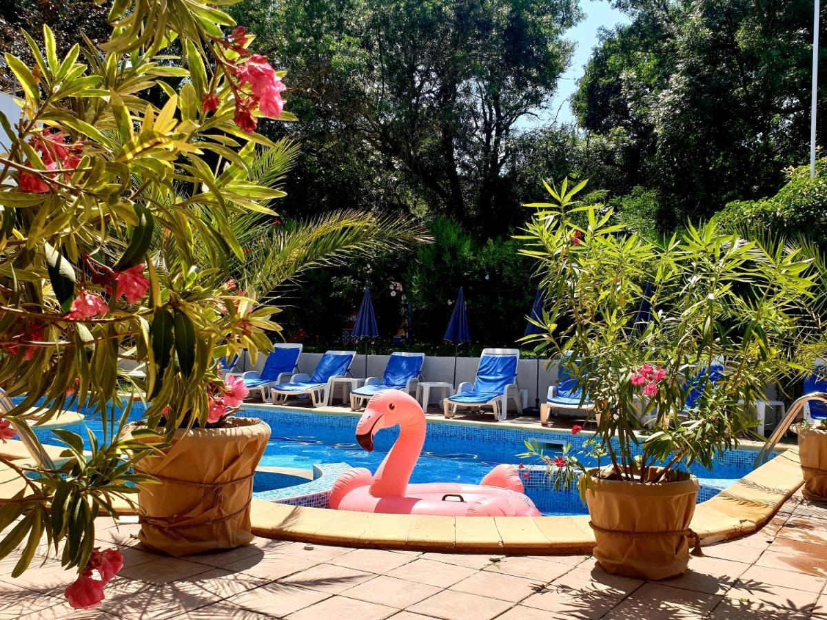 Hotel Feniks Lozenets Εξωτερικό φωτογραφία